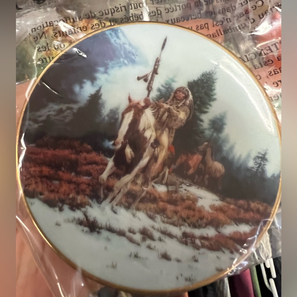 Native American collectors plate 7